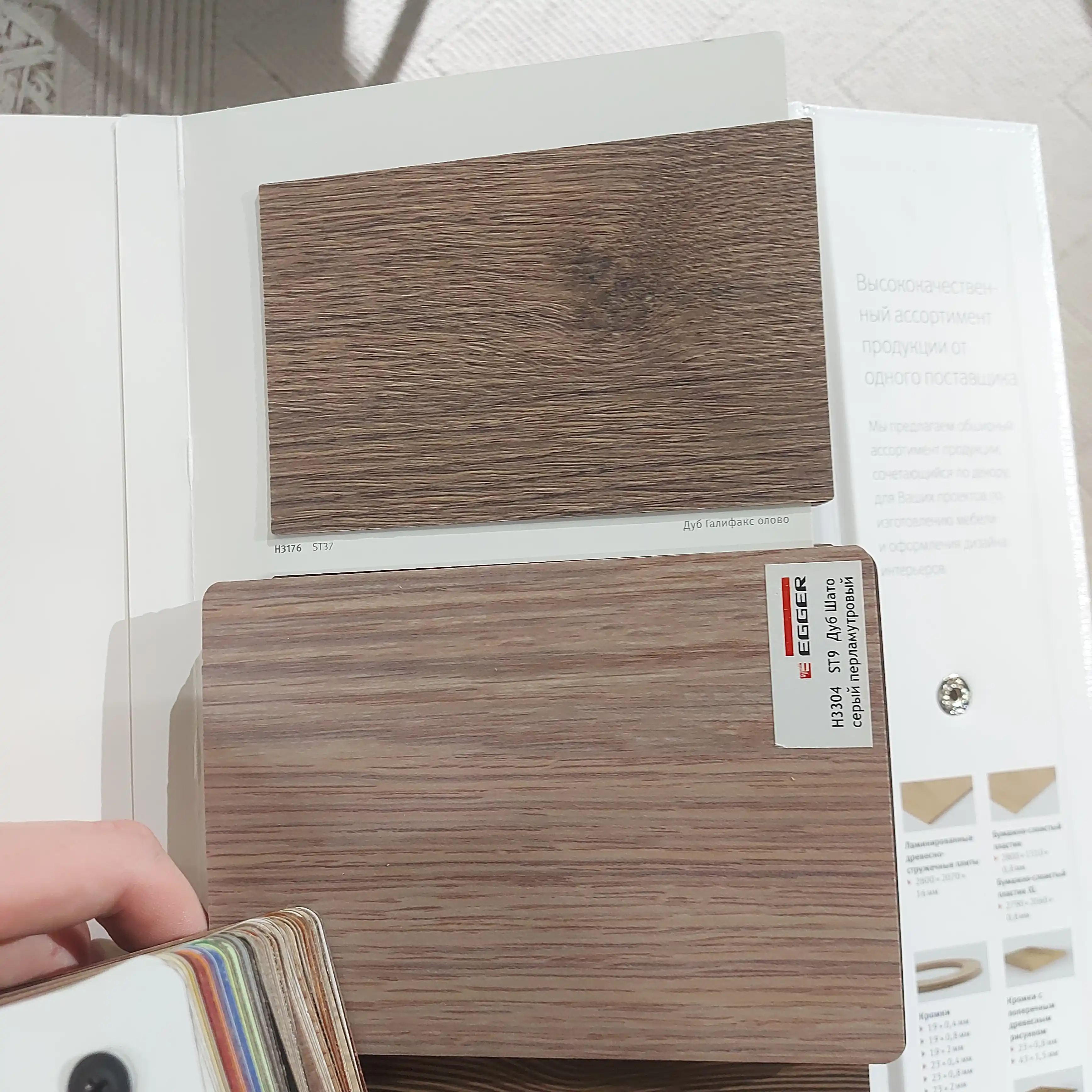 Прекрасная работа в сосновом бору