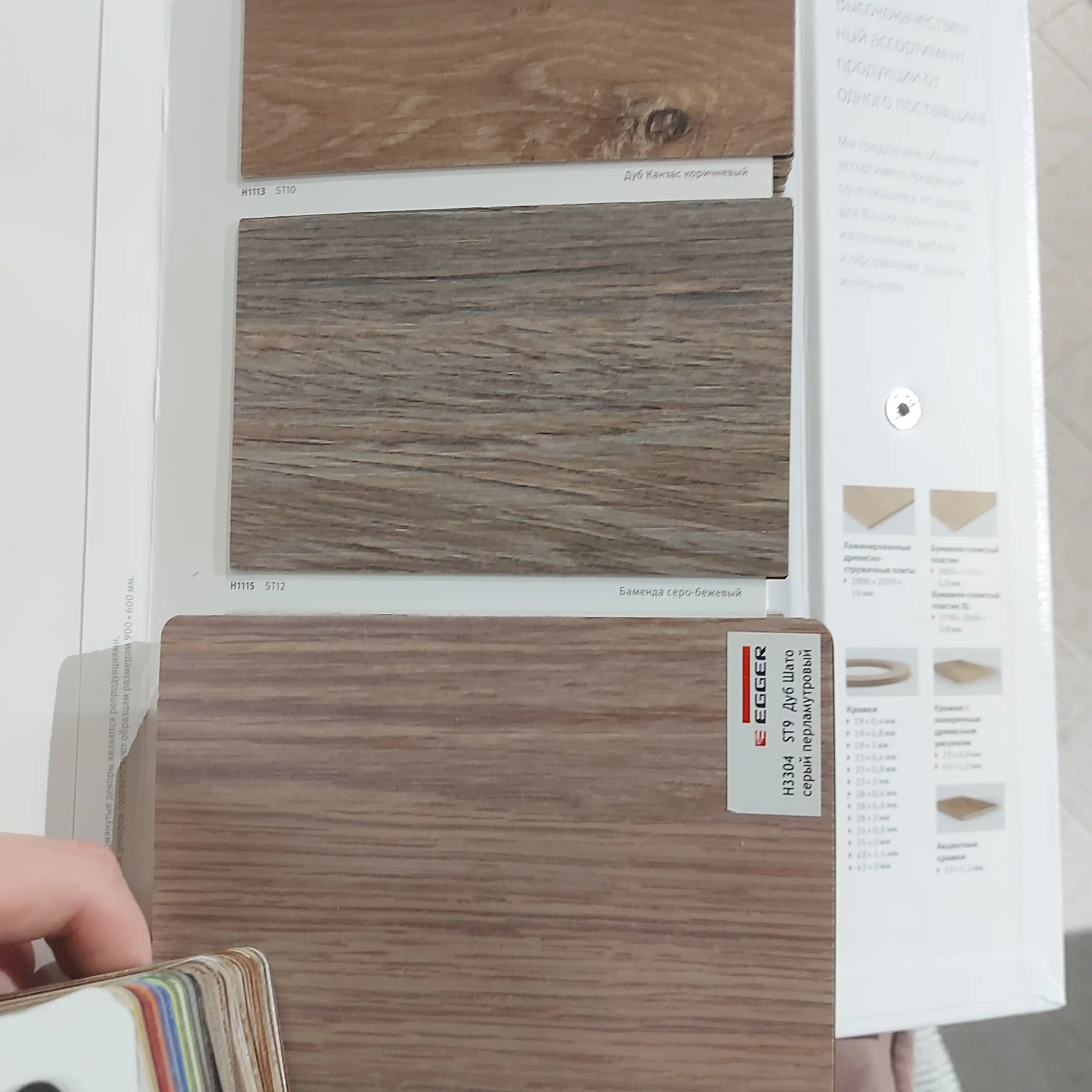 Прекрасная работа в сосновом бору