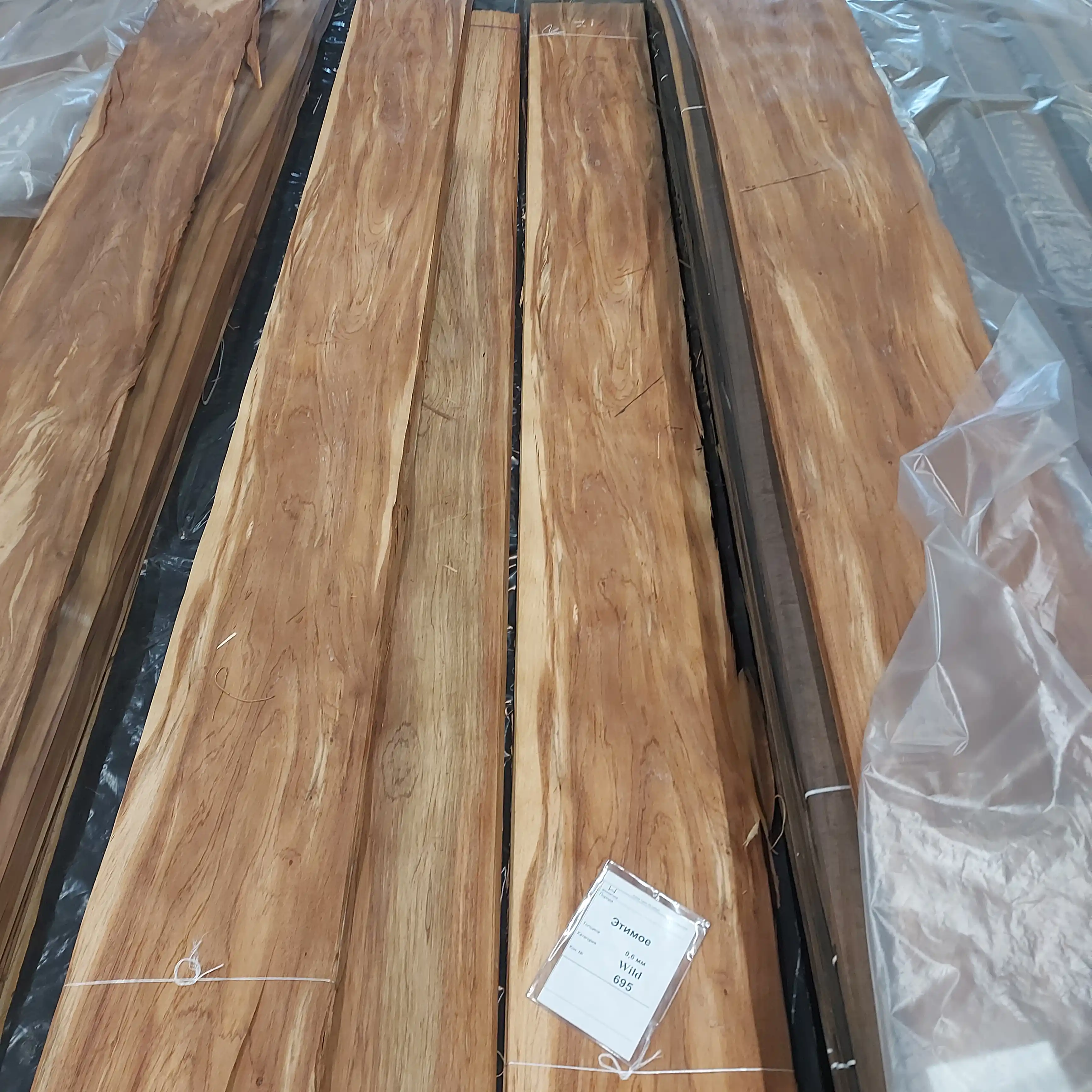 Прекрасная работа в сосновом бору