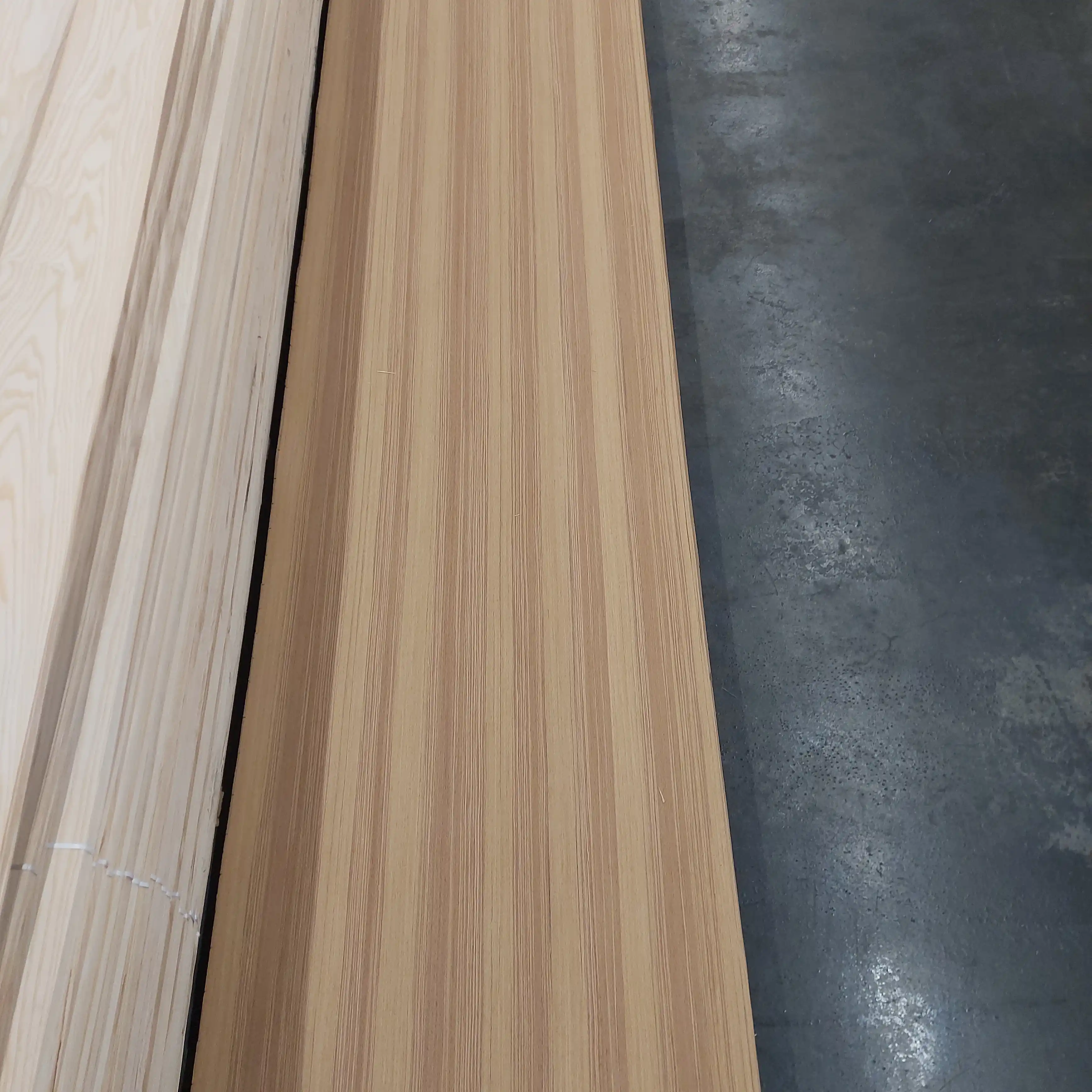 Прекрасная работа в сосновом бору