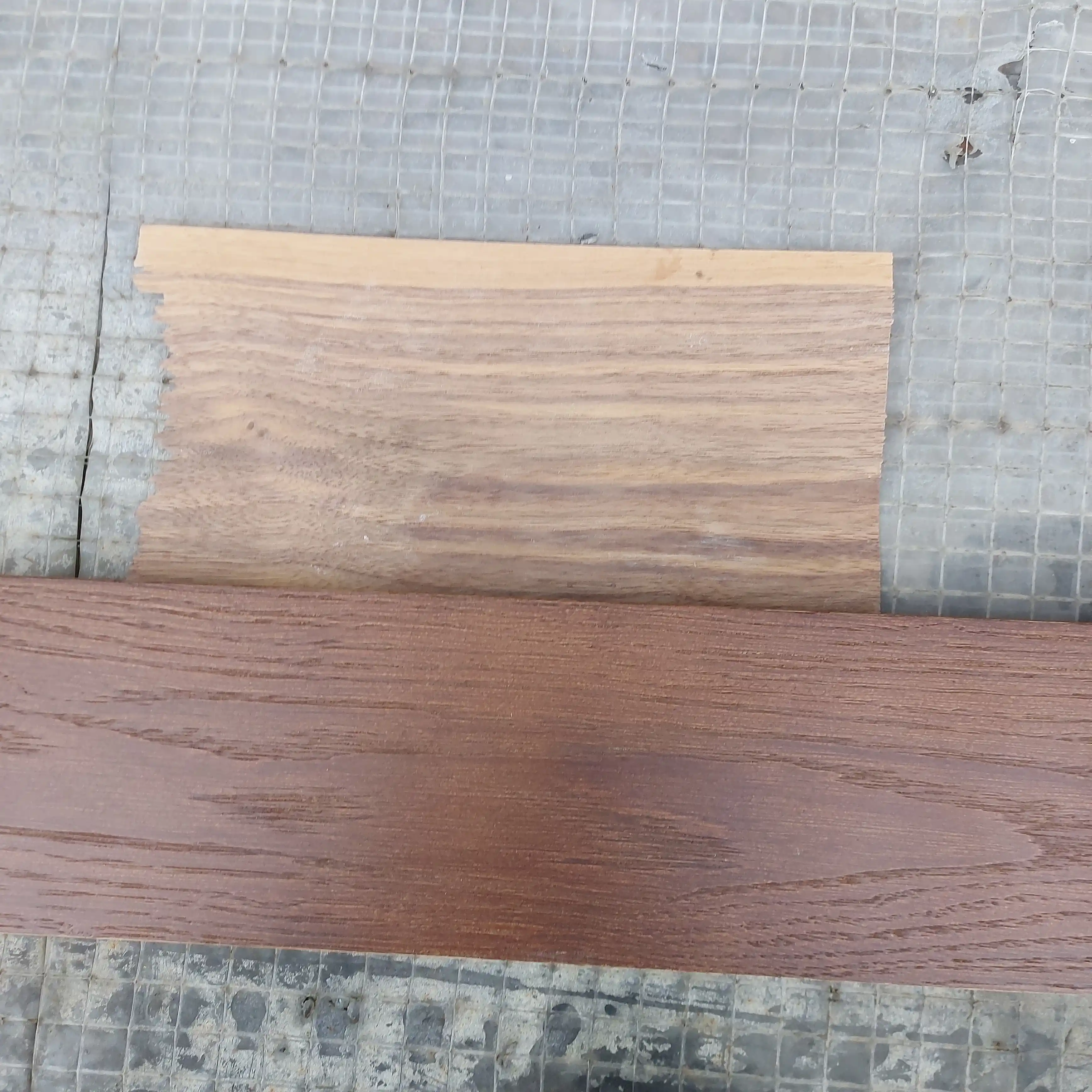 Прекрасная работа в сосновом бору